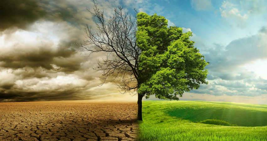 تاثیرات آلودگی هوا بر طول عمر انسانها